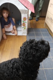 マックス!かわいい!後ろには妹のオリビアさんがいます